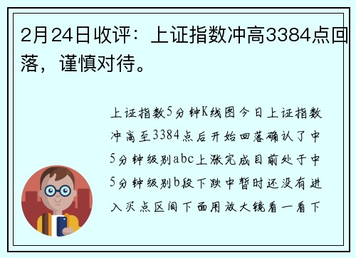 2月24日收评：上证指数冲高3384点回落，谨慎对待。