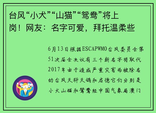 台风“小犬”“山猫”“鸳鸯”将上岗！网友：名字可爱，拜托温柔些