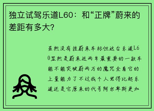 独立试驾乐道L60：和“正牌”蔚来的差距有多大？