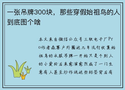 一张吊牌300块，那些穿假始祖鸟的人到底图个啥