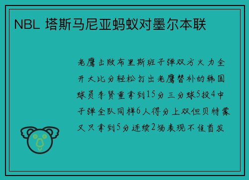 NBL 塔斯马尼亚蚂蚁对墨尔本联